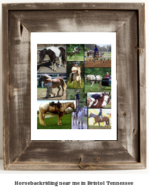 horseback riding near me in Bristol, Tennessee